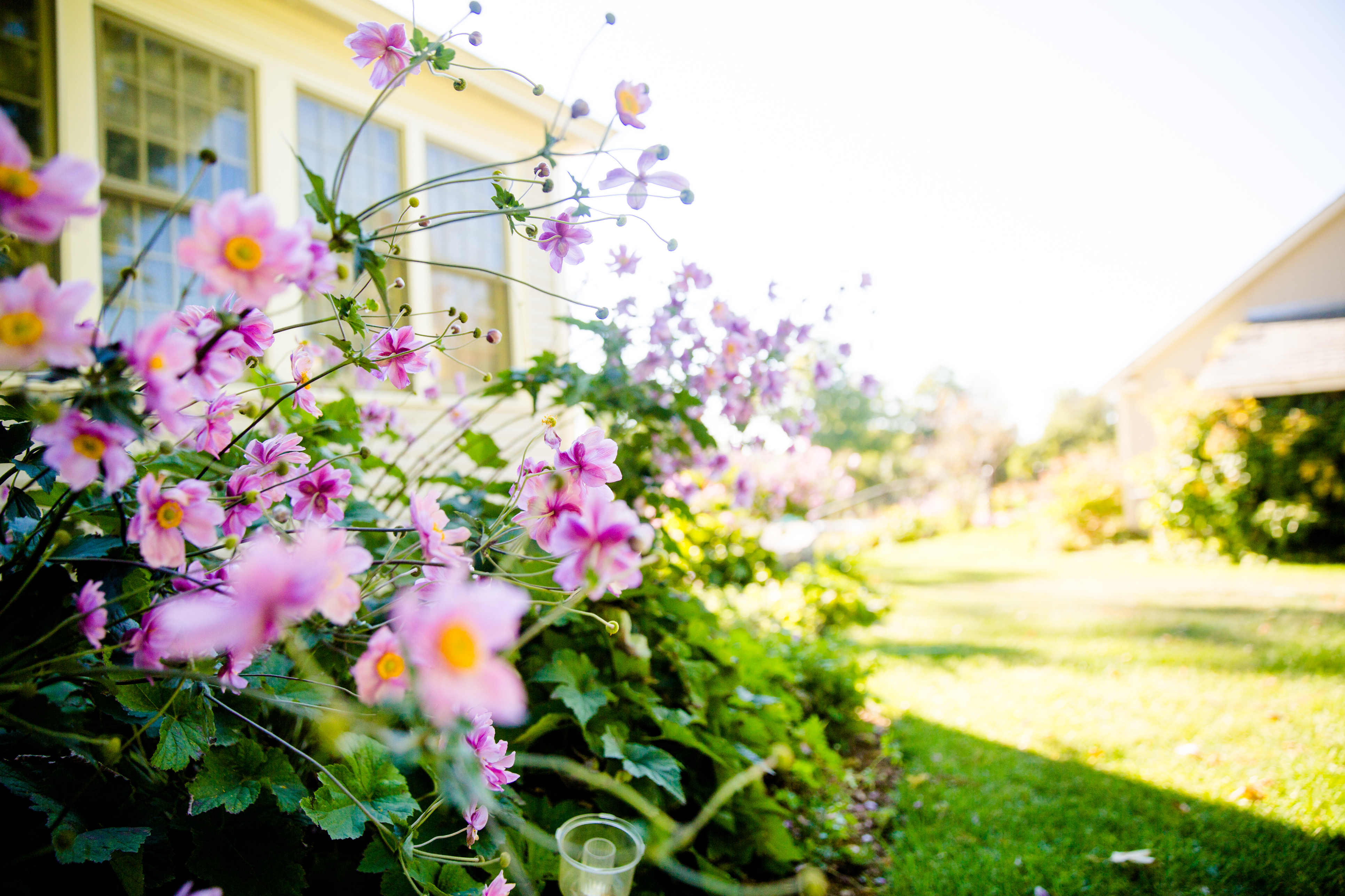 6 Money Moves to Spring Clean Your Finances