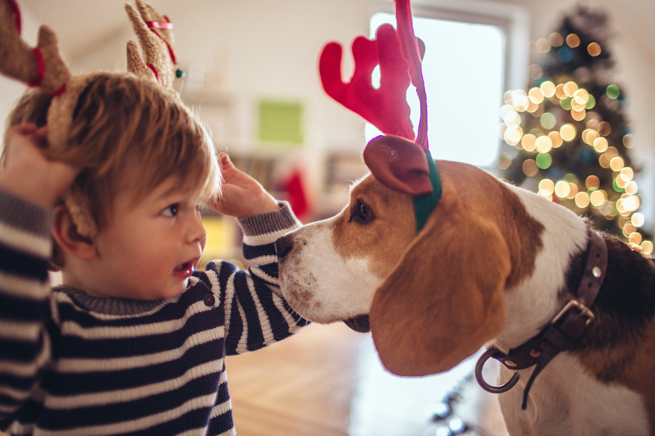 MNB Financial Group Newsletter Holiday Edition